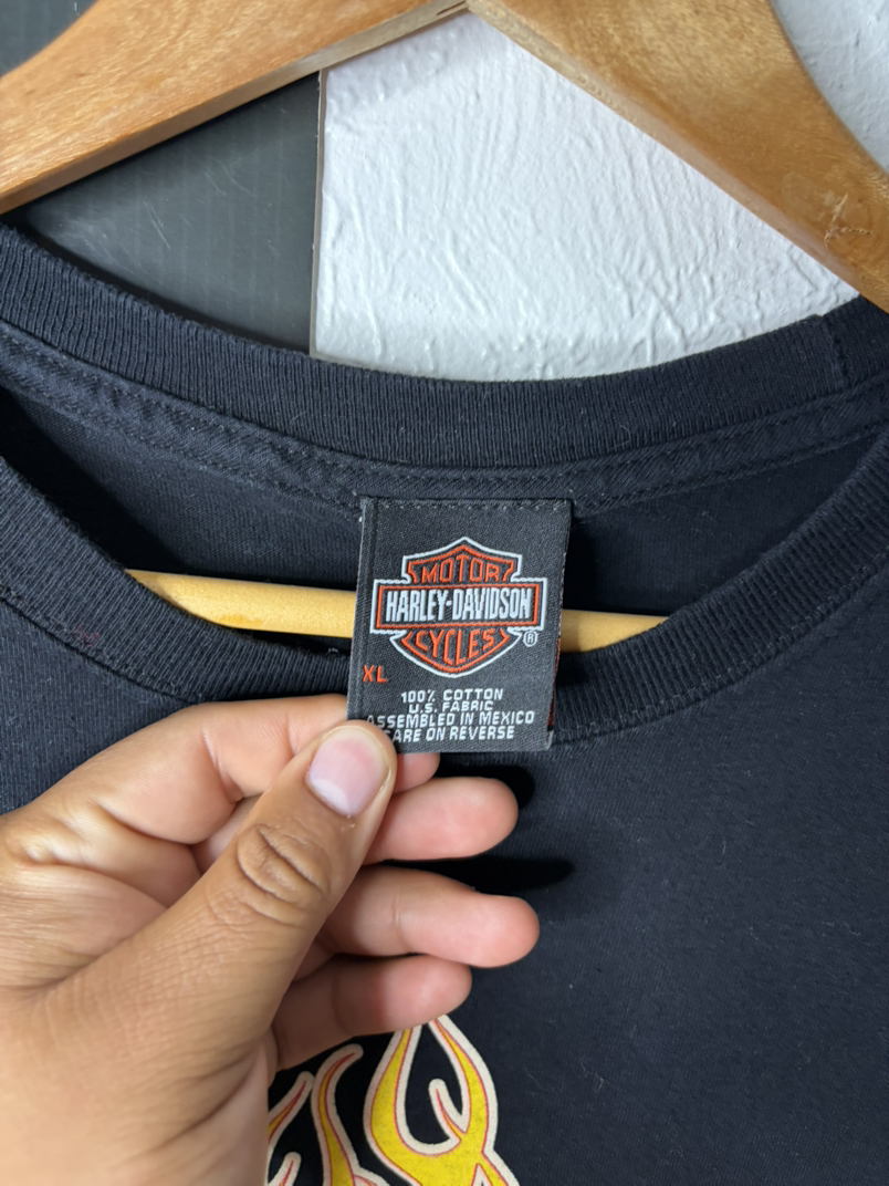 Harley-Davidson "Flame Bike" Graphic T-Shirt