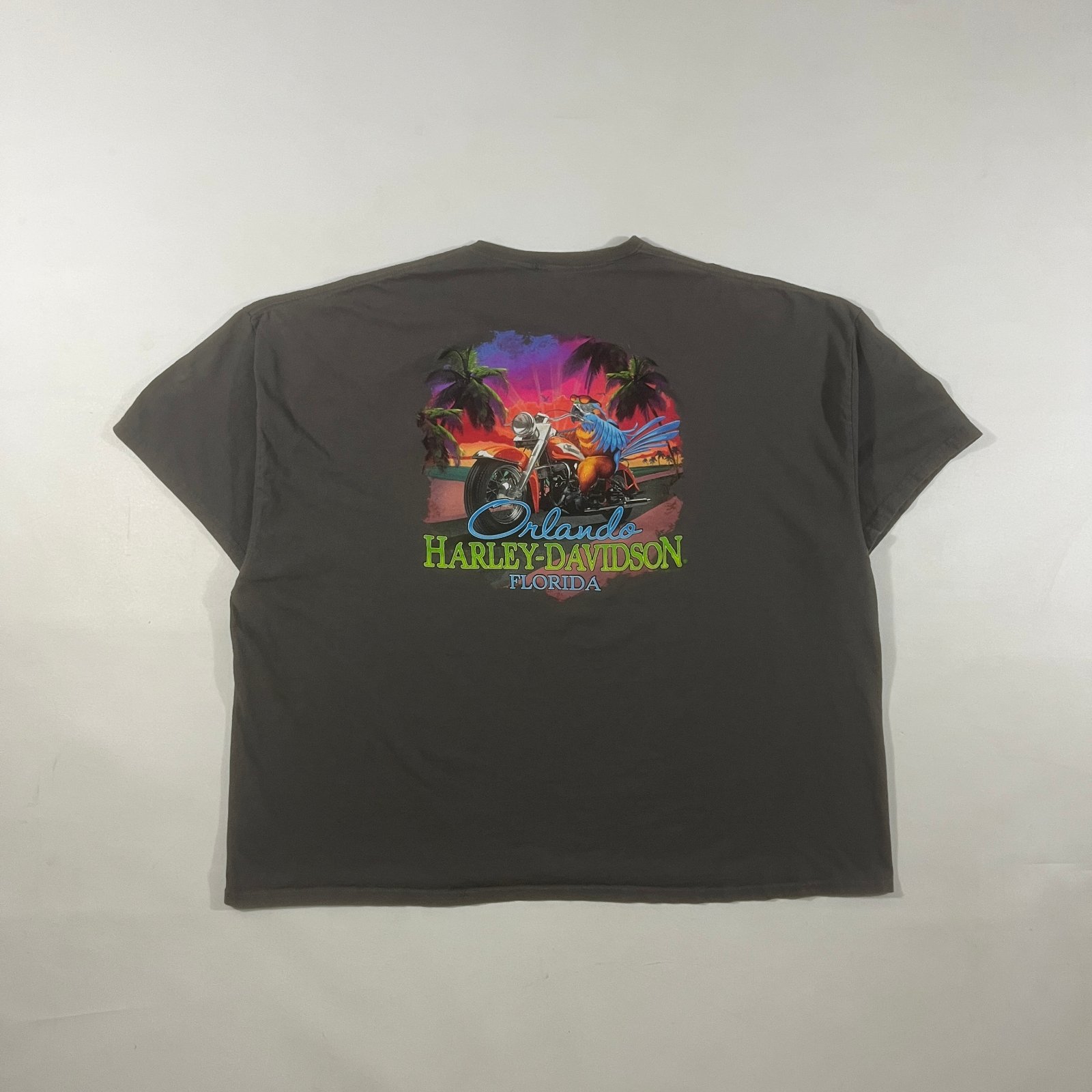 Harley-Davidson Orlando Florida Parrot Graphic Gray Biker Tee 5XL