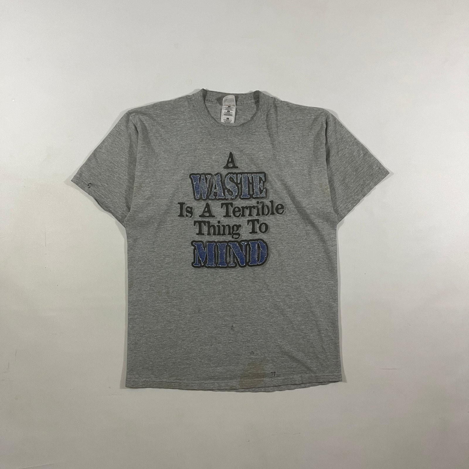 Vintage Y2K Fruit of the Loom "A Waste Is A Terrible Thing To Mind" Funny Slogan Tee L