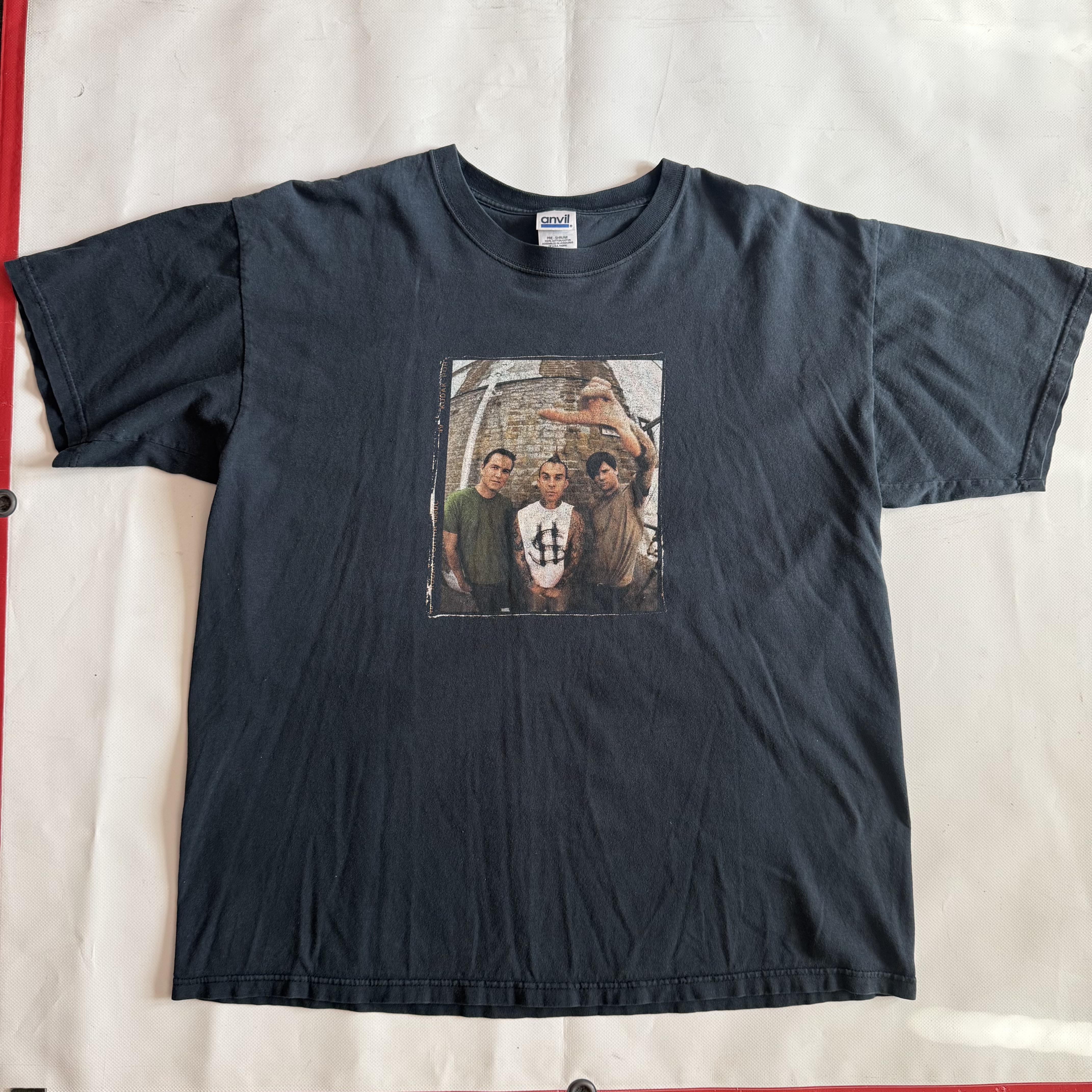 Vintage Band Tee grail - Blink-182 Group Photo XL