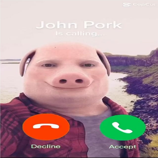Live cover