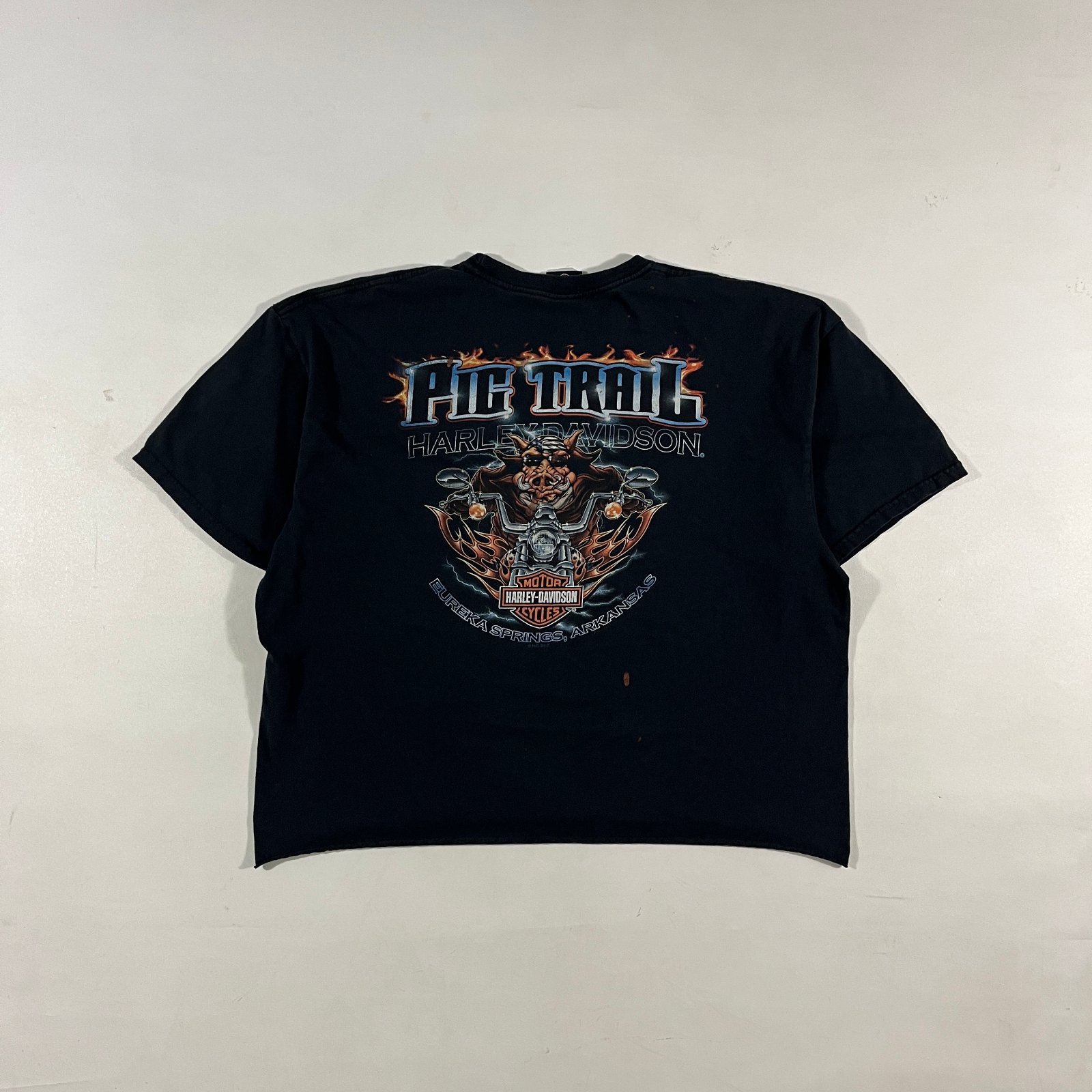 Harley-Davidson Pig Trail Eureka Springs Arkansas Racing Club Boxy Cropped Tee